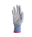 SHELL - Gant