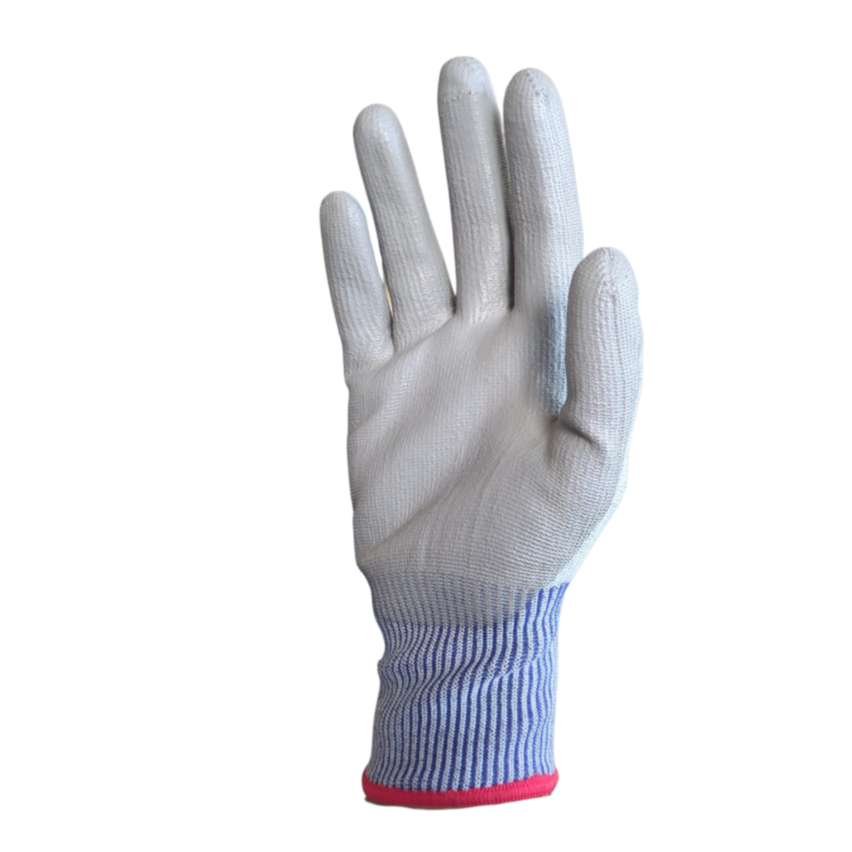 SHELL - Gant